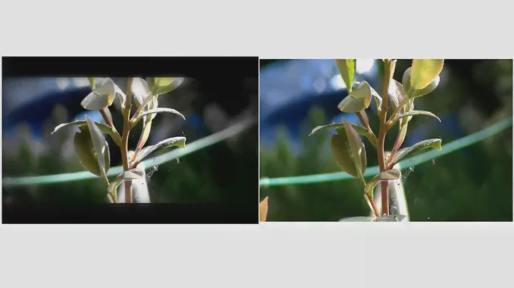 JVC GY-HM70 1080 VIDEO COMPARISON