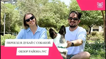 Переезд с собакой в Дубай. Что для этого нужно? Обзор района JVC