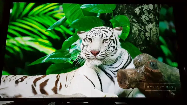 JVC X7900 Home cinema projector 4K HDR demo